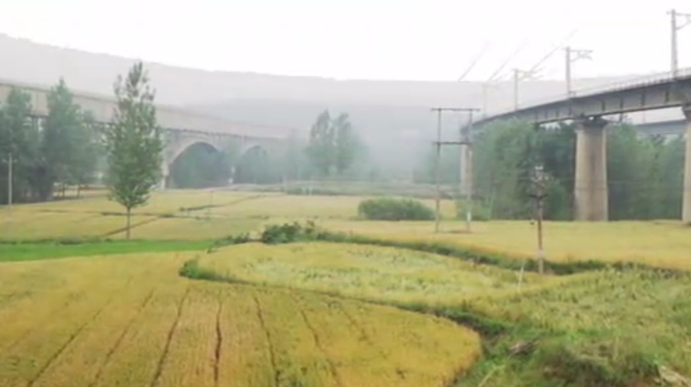 陸渾水庫專題片